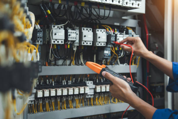 Best Affordable Electrician  in Blackville, SC